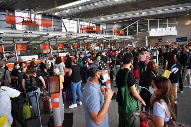 Australia airport outage: Sydney, Melbourne and Brisbane all hit by delays after 'technical issue'
