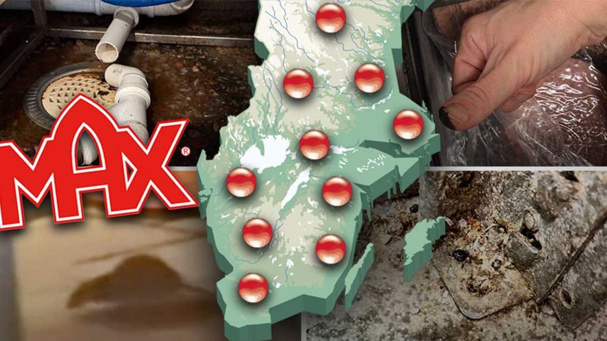 Snusket på Max – här är restaurangerna som fått kritik
