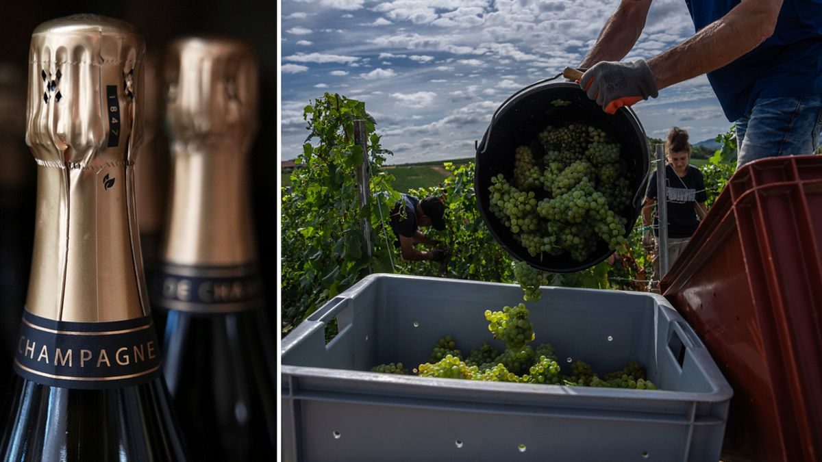Hetare Champagne ger starkare bubbel