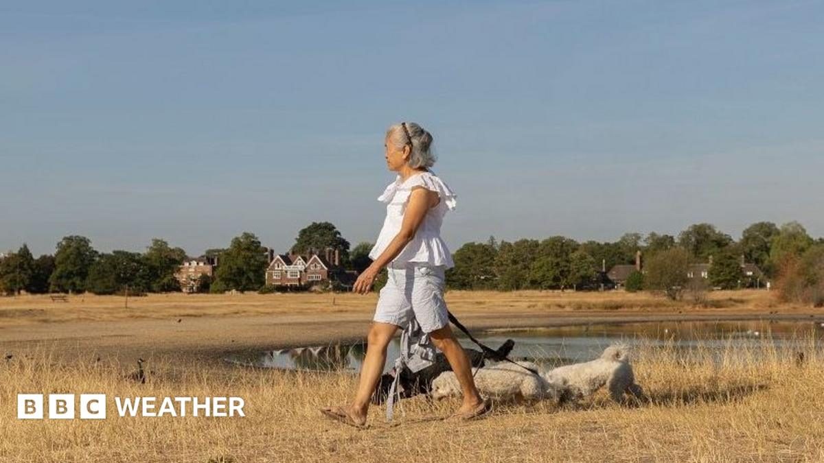 Sunshine to return to parts of UK with warmer and drier weather on way