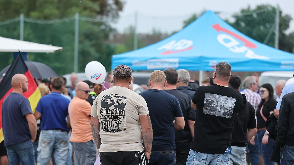 AfD-Wähler lehnen System ab: Fast drei Viertel der Ostdeutschen sind mit Demokratie unzufrieden