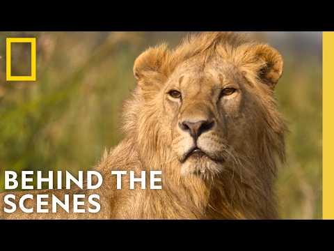 LION: Exclusive BTS Footage of an Incredible Filmmaking Journey