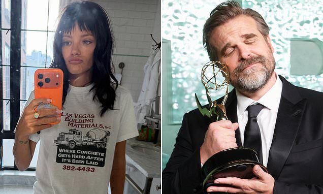 Lily Allen responds to David Harbour's comments about her break-up album West End Girl after he called it 'weird' and s…