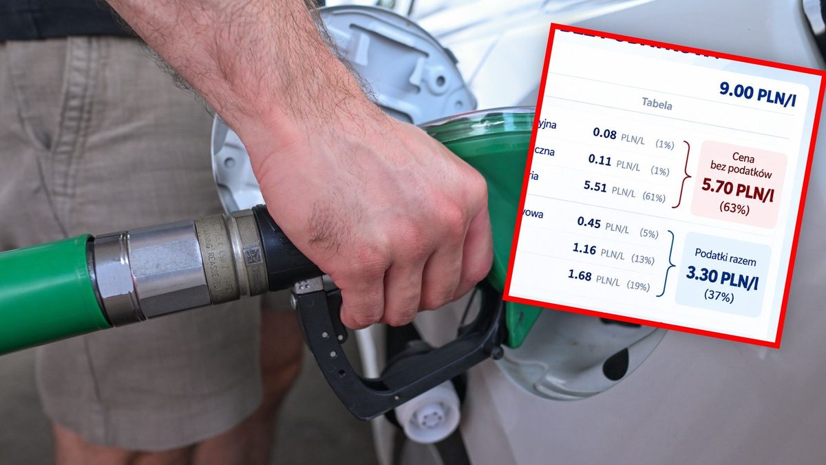 9 zł przy dystrybutorze. Ponad 3 zł to podatki i opłaty