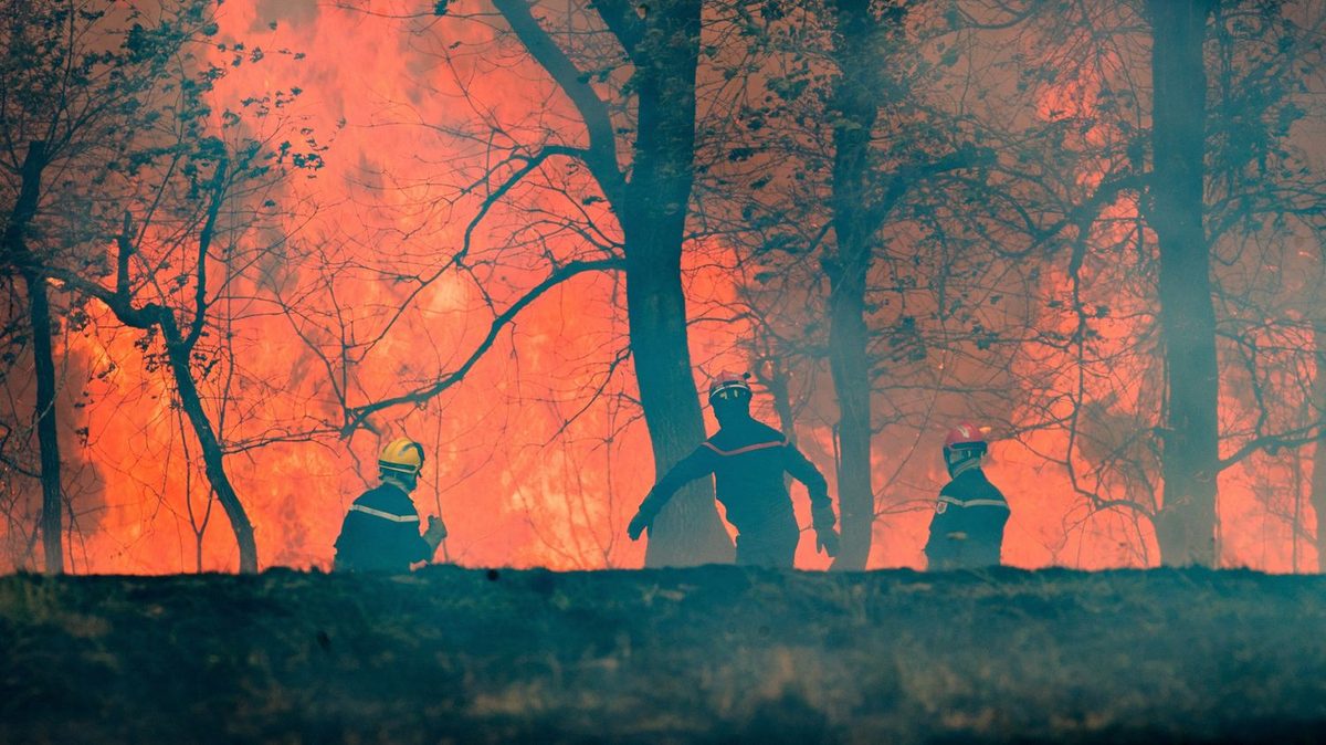 En Charente, un homme a été condamné à 12 ans de réclusion criminelle pour 32 incendies volontaires