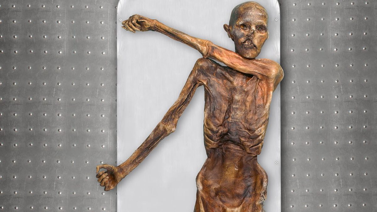 Zufallsfund und Weltsensation: Ötzi sorgt noch immer für Überraschungen
