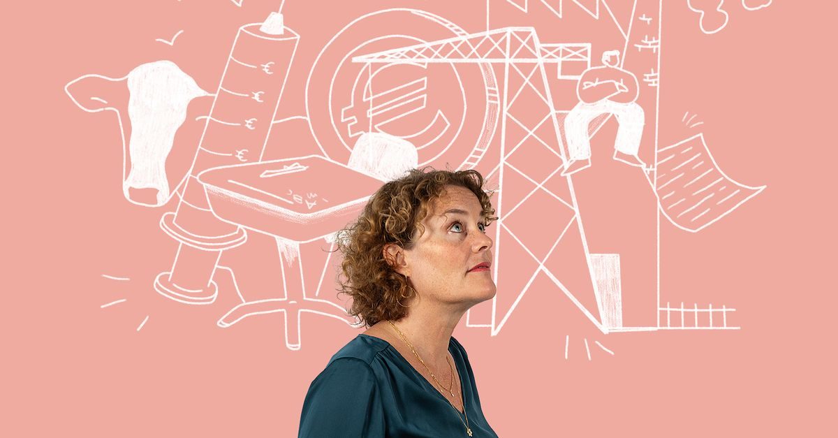 Van bedrijven ontzien wordt Nederland niet productiever