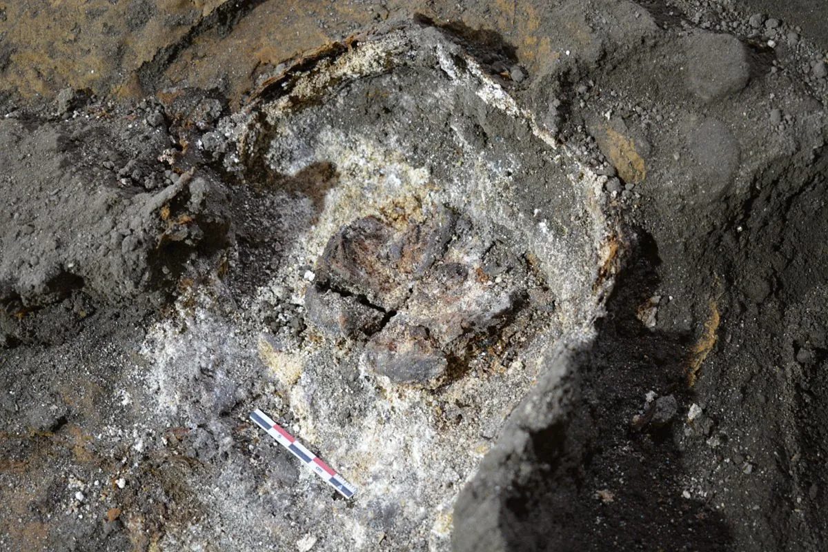 Un cerebro "saponificado" sin cráneo, dos niños y una tetera Ming: los secretos enterrados bajo un convento de Ponteved…