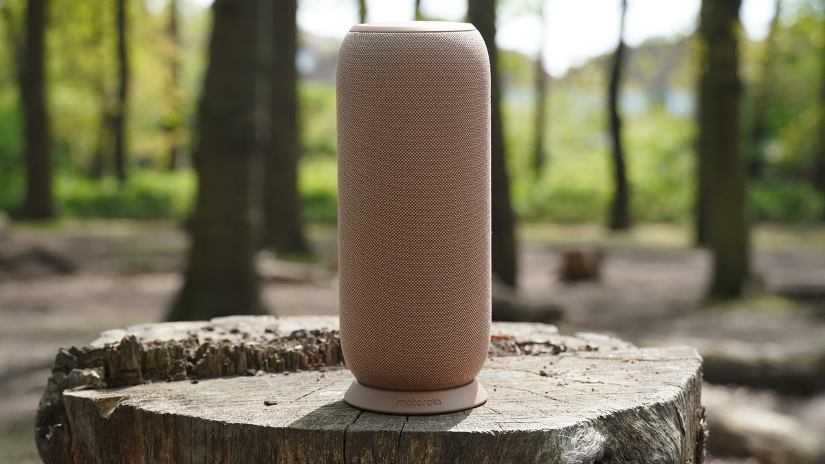 Moto Sound Flow Review