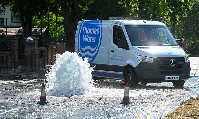Thames Water must be temporarily nationalised and its debt rescue plan blocked, MPs say