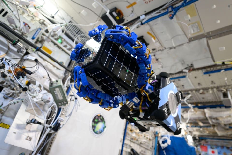 This Startup Is Building Octopus-Inspired Tow Trucks For Space