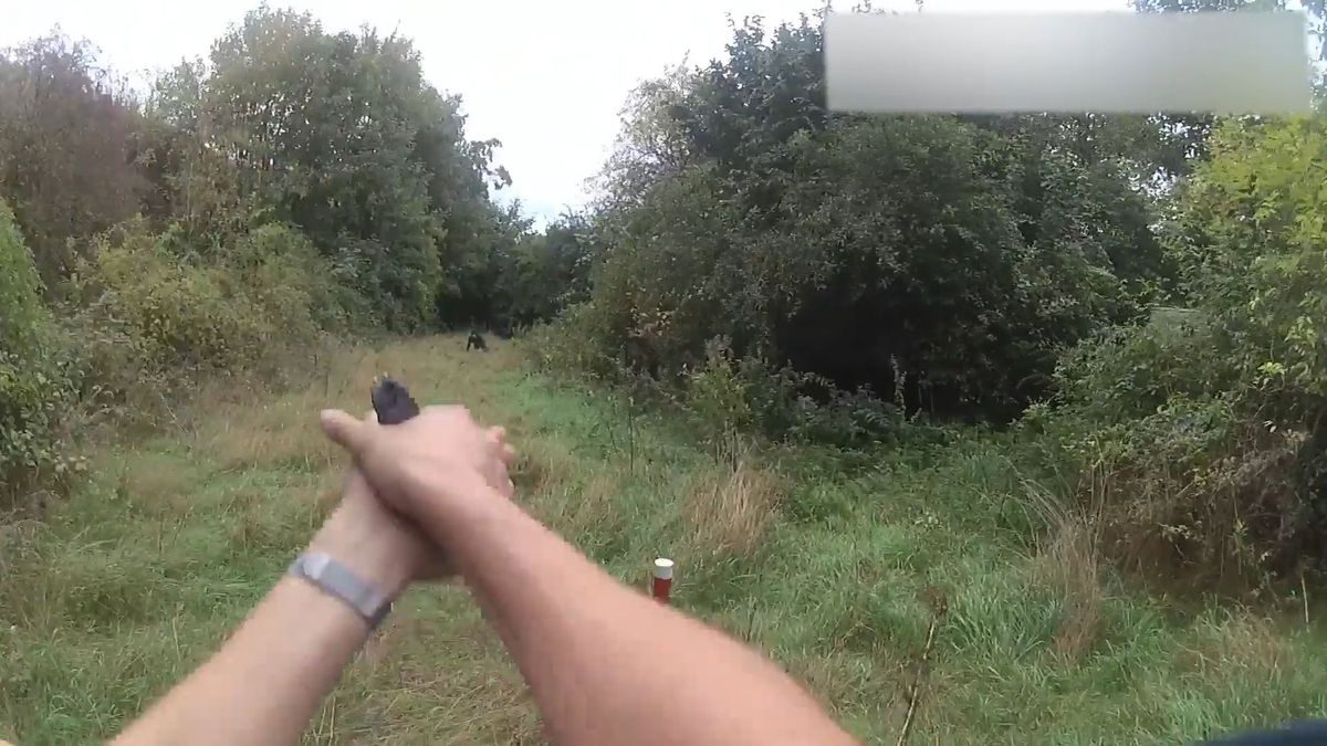 Anschläge auf Umspannwerke: Bodycam-Video zeigt Festnahme von Daniel V.