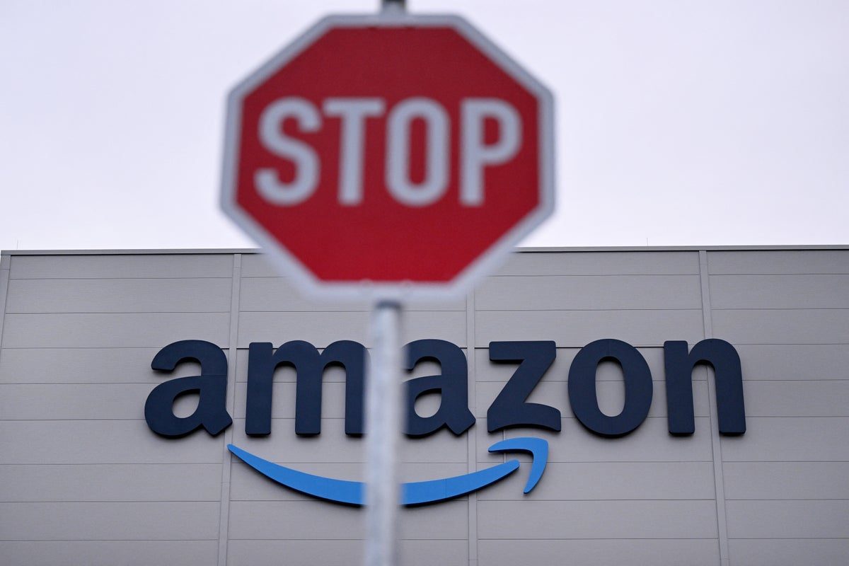 Amazon says AI needs ‘strong safeguards’ in place before being released
