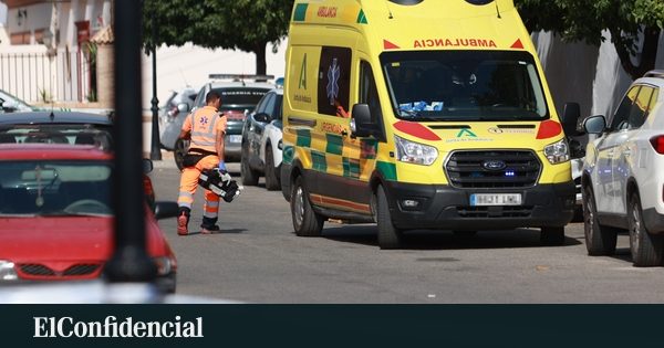 Muere atropellado un hombre de 79 años en la A-92 en Vélez-Rubio (Almería)