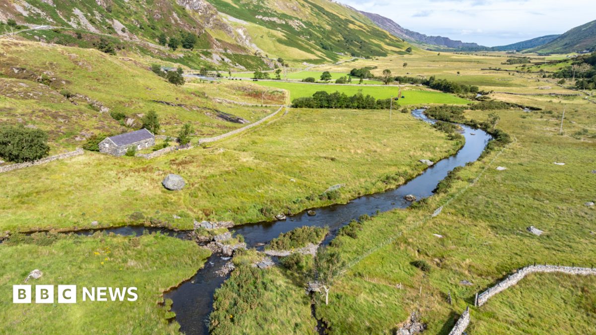 Species 'at risk of vanishing' from area of Wales' largest national park