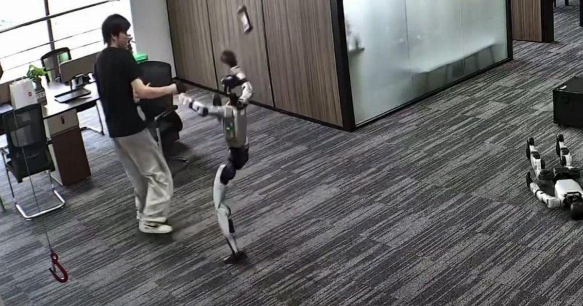 Il robot "si ribella" e prende a calci un ingegnere in Cina: colpo di kung fu