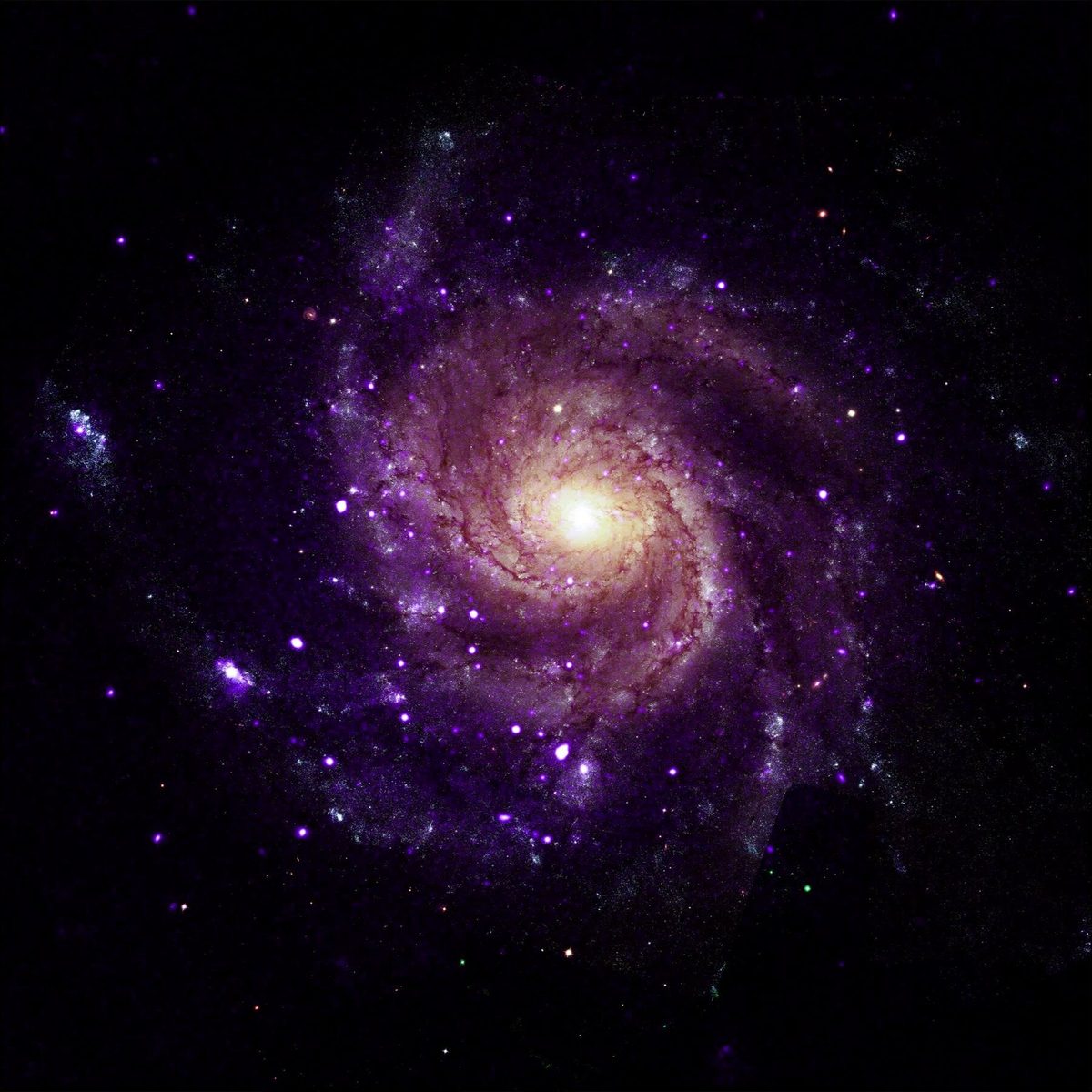 NASA Telescope Helps Scientists Find a New Type of X-ray Object