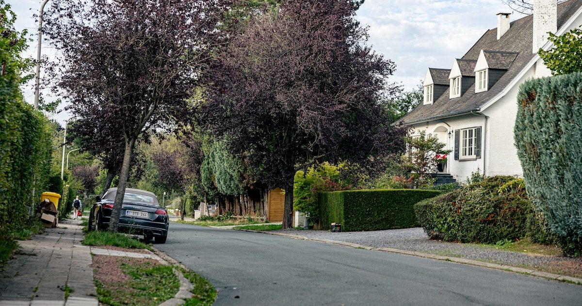 Construire à Waterloo et à Lasne : entre terrains devenus rares et grandes parcelles, les projets neufs sont étroitemen…