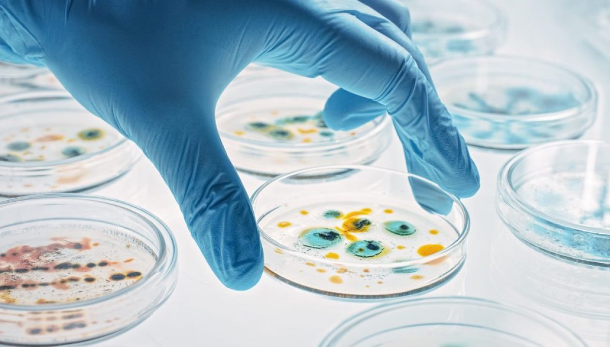 China is winning the science race while Washington freezes American innovation