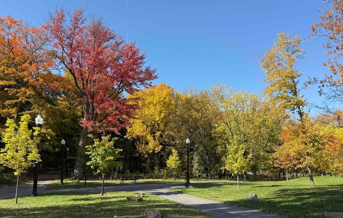 Non, cette année l’automne n’arrivera pas le 21 septembre, on vous explique pourquoi
