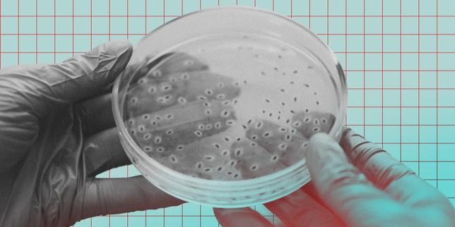La menace de microbes dangereux fabriqués avec l’aide de l’intelligence artificielle se concrétise
