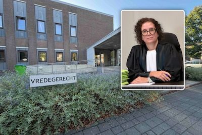 Man strooit 200 kilo vogelvoer uit in tuin in Bree: “Dat het ratten aantrekt? Ik vind het geen minderwaardige diersoort”