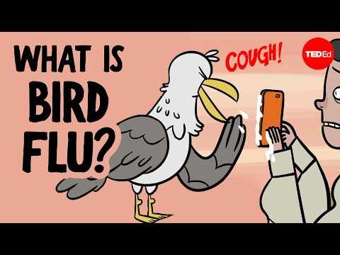watching this, i feel like i need to stay away from all the birds in the park #film #movies #explore