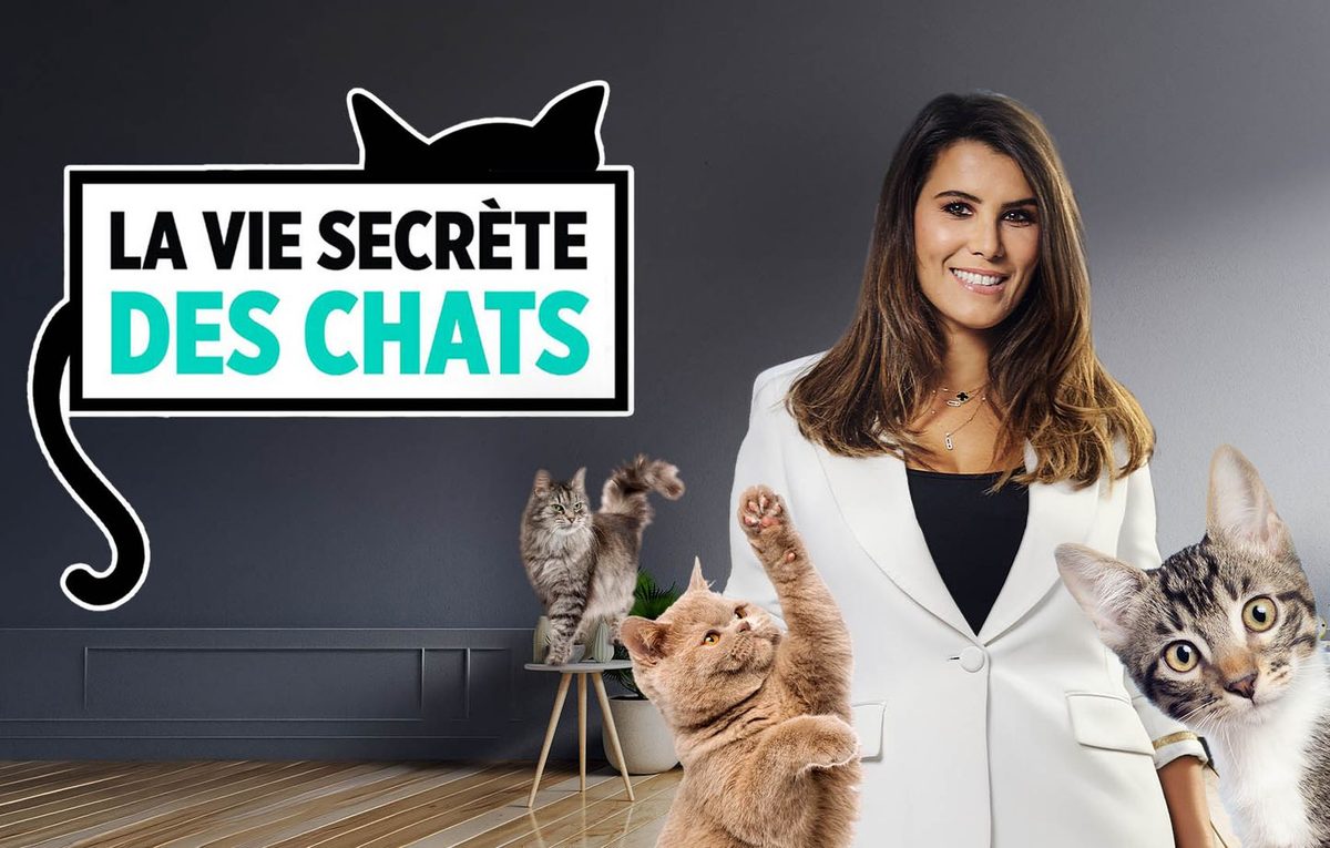 « Un côté attachant qui attise la curiosité »… Qu’est ce qui fait le succès « wouf » des animaux à la télévision ?
