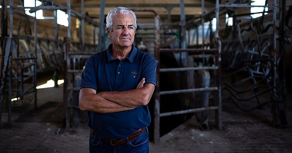 Cómo la industria láctea hundió la ganadería: «Pactaban los precios; y si te querías ir, nadie te recogía la leche»