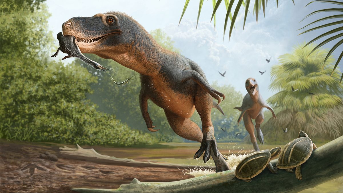 Evolution der Vögel: Forscher finden Vogelfedern in versteinertem Dino-Kot