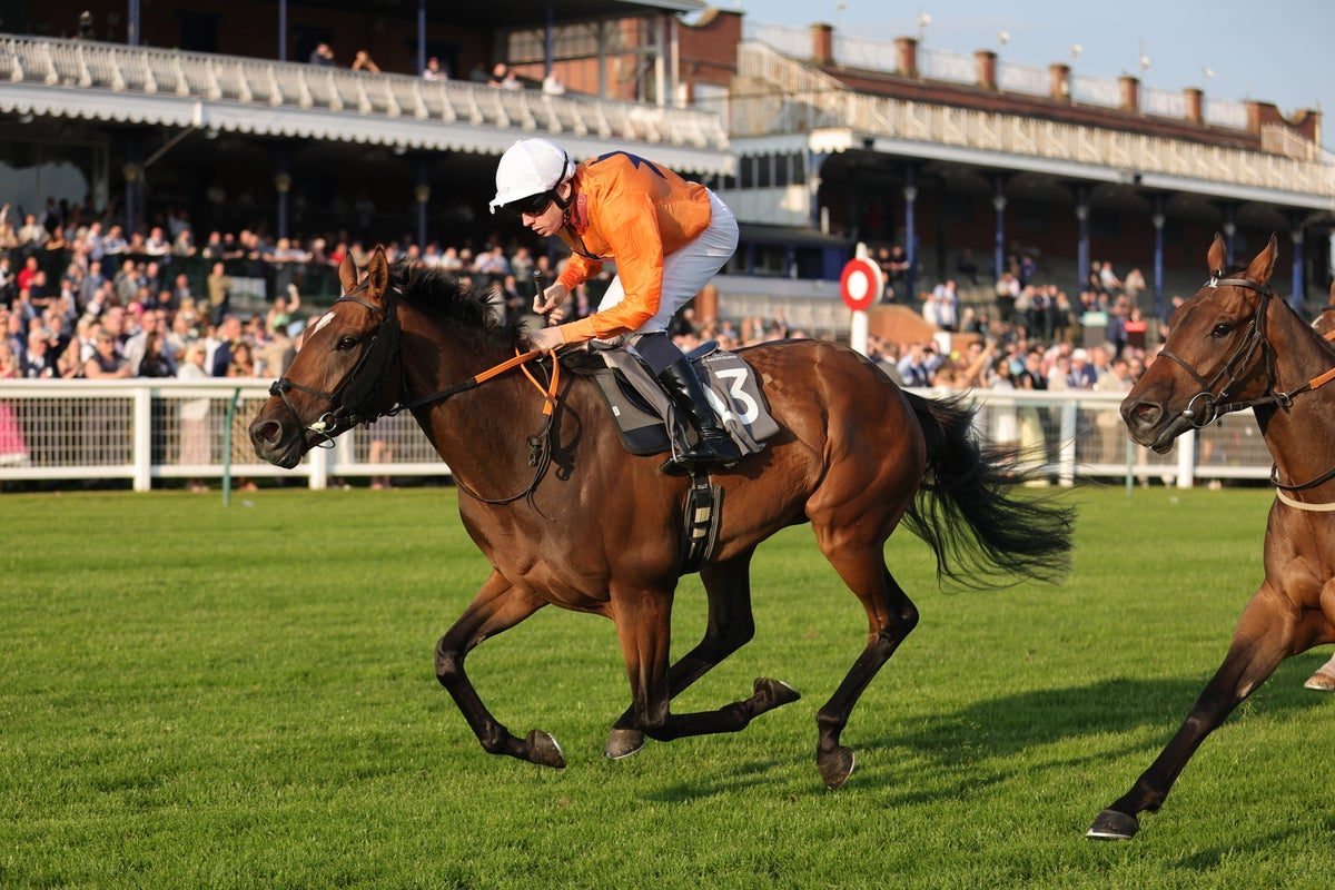 Friday’s racing tips: Best bets for day two of Doncaster’s St Leger Festival