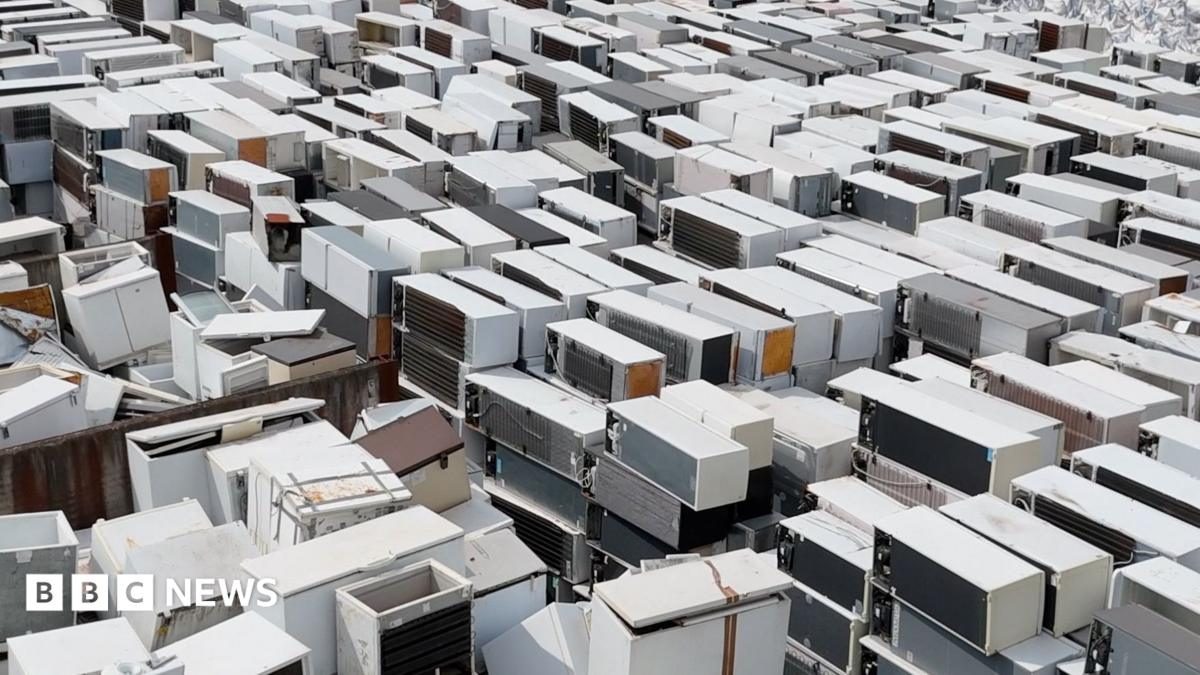 Tens of thousands of fridge freezers left at docks as household collections suspended