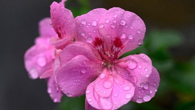 Wetter in NRW: Wolken und Regen, aber mild