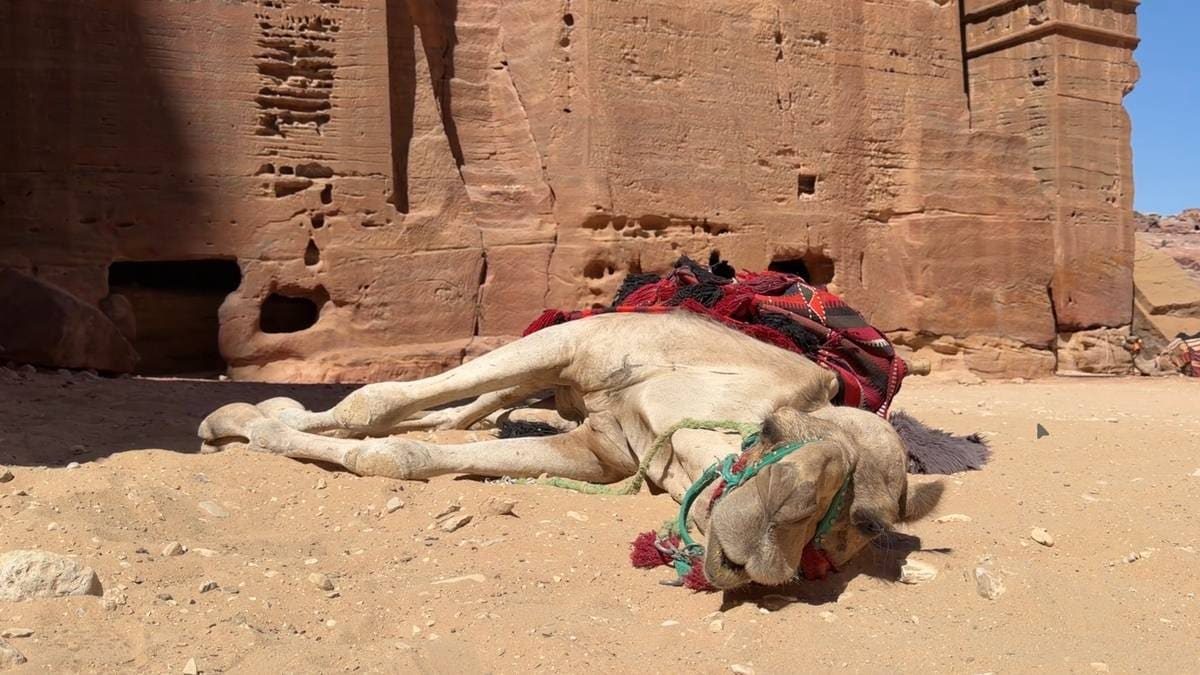 Turismen i Jordan ligger med brukket rygg