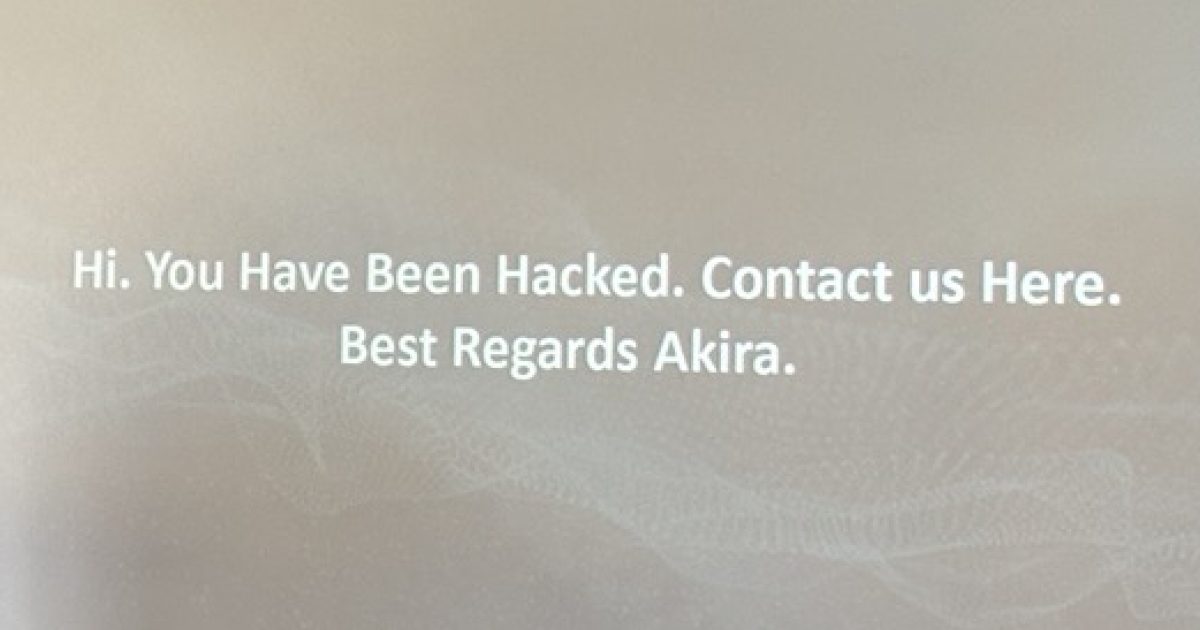Dansk virksomhed var nær blevet udslettet af cyberangreb: Her er direktør Stine Halbergs gode råd efter det destruktive…