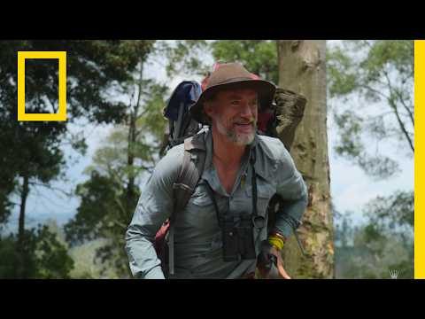 fantastische reise durch afrika voller abenteuer und naturwunder