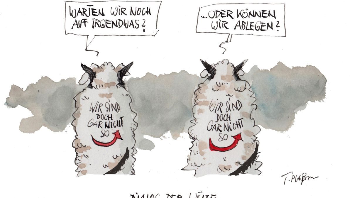 Cartoons der Woche von Thomas Plaßmann, Klaus Stuttmann, Julian Fiebach