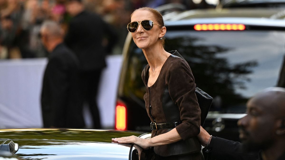 Céline Dion klettert barfuß auf ein Auto und singt und tanzt mit ihren Fans