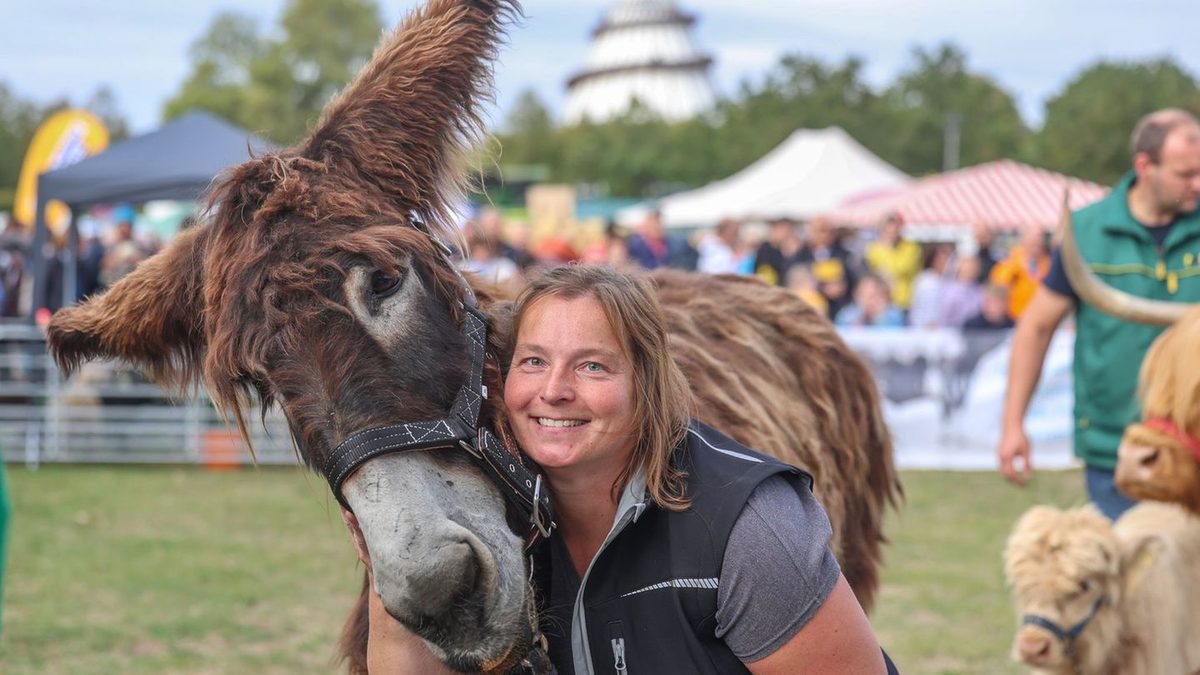 Agrarschau in Magdeburg: Landeserntedankfest lockt 26.000 Besucher nach Magdeburg