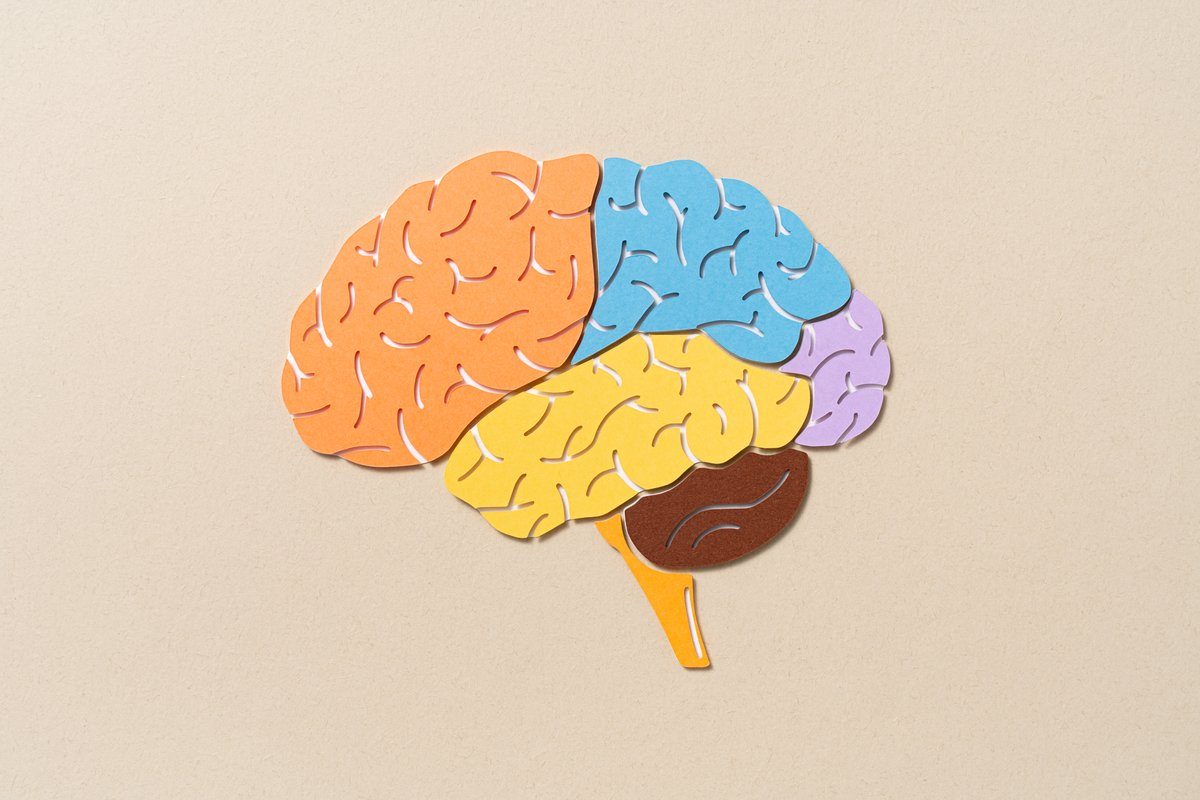 Could brain-inspired computers run on the same amount of power as a human brain?