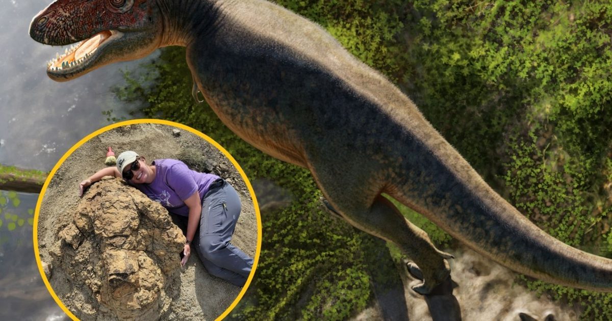 Tyranozaur zostawił po sobie cztery gigantyczne ślady. To pierwsze takie odkrycie
