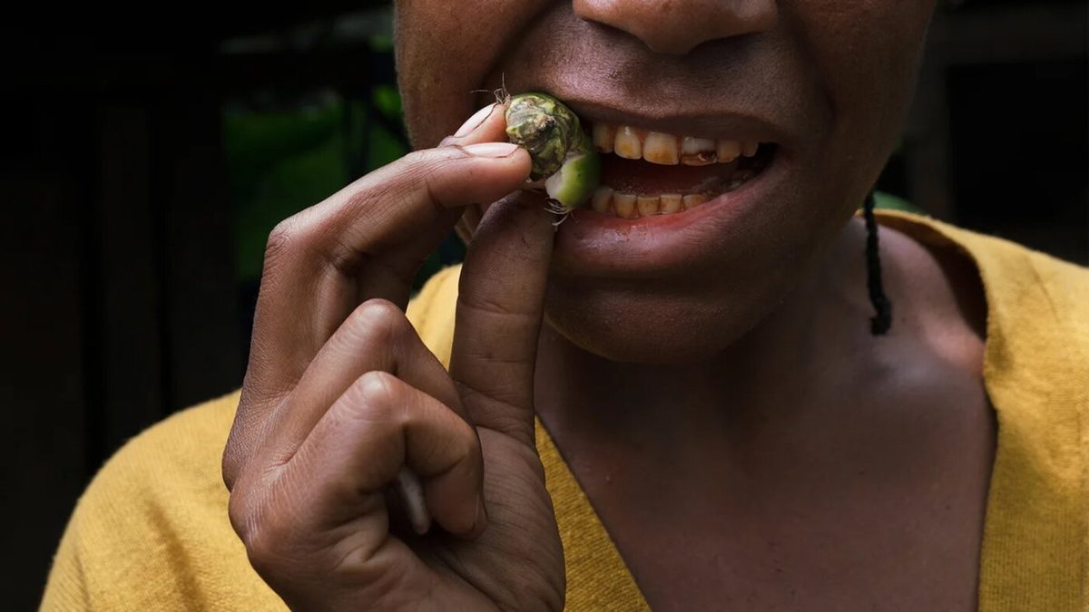 Ancient teeth pose a mystery: What made those strange grooves?