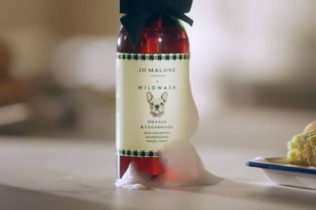 Jo Malone restocks sold-out £18 dog shampoo - get £15-off in clever deal stack