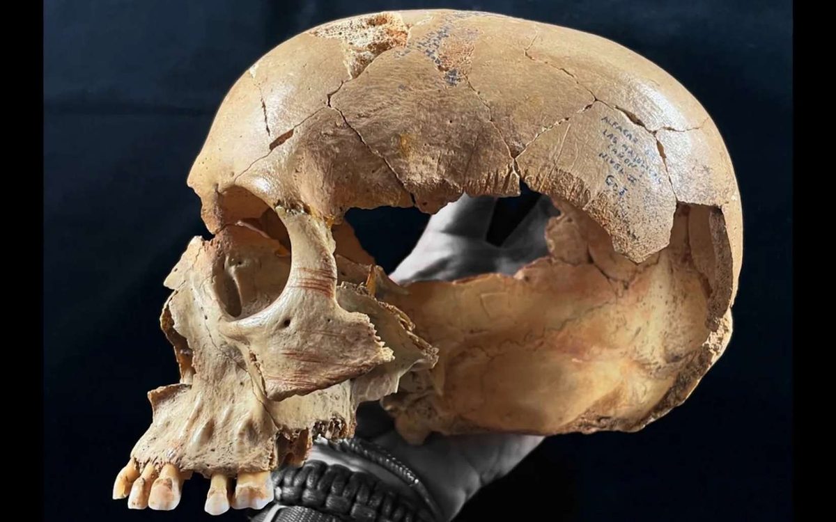Des crânes transformés en coupes et des os découpés : ce que révèlent trois grottes du Néolithique dans cette région d’…