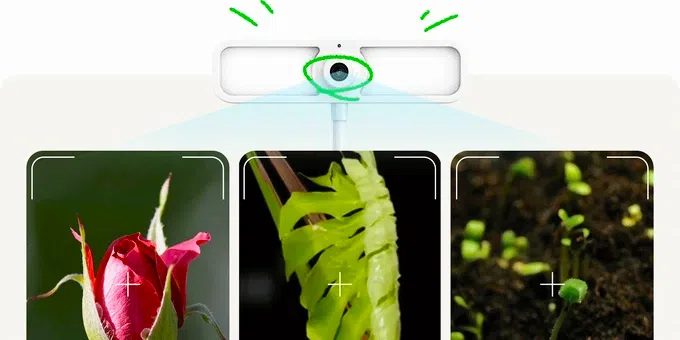 Met de FernSnap maak je zonder moeite een timelapse van je planten