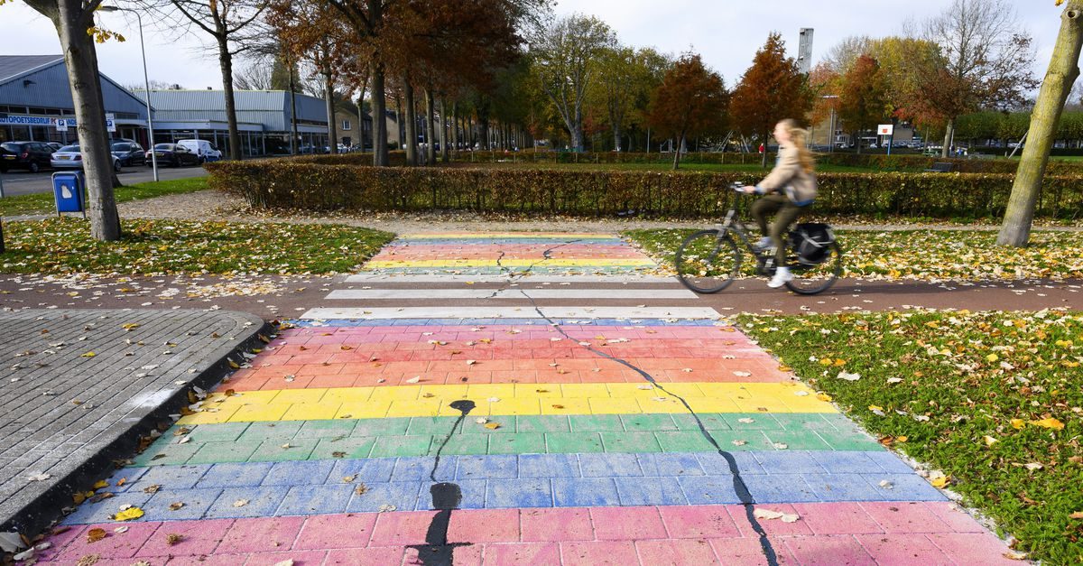 Acceptatie van homoseksualiteit onder Nederlandse jongens bijna gehalveerd in vier jaar. ‘Zo’n sterke daling hadden we…