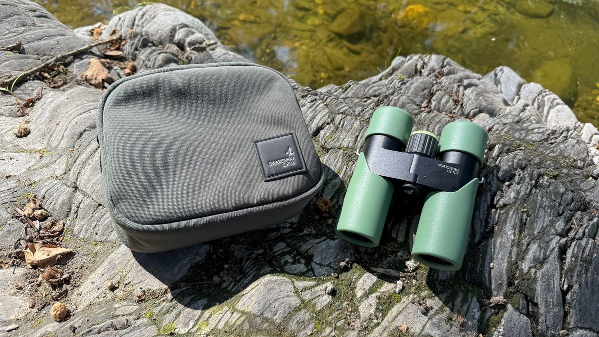 Swarovski CL Companion compact binocular review