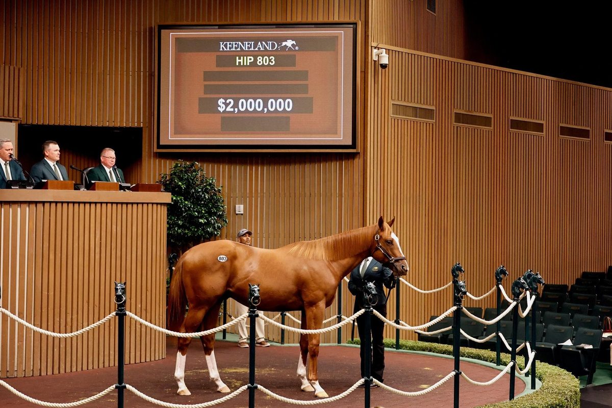 Keeneland Sales Tops $318 Million In First Week