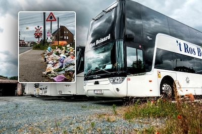 Na drama met bus in Buggenhout: dit jaar al 70 klachten over schoolbuschauffeurs bij De Lijn