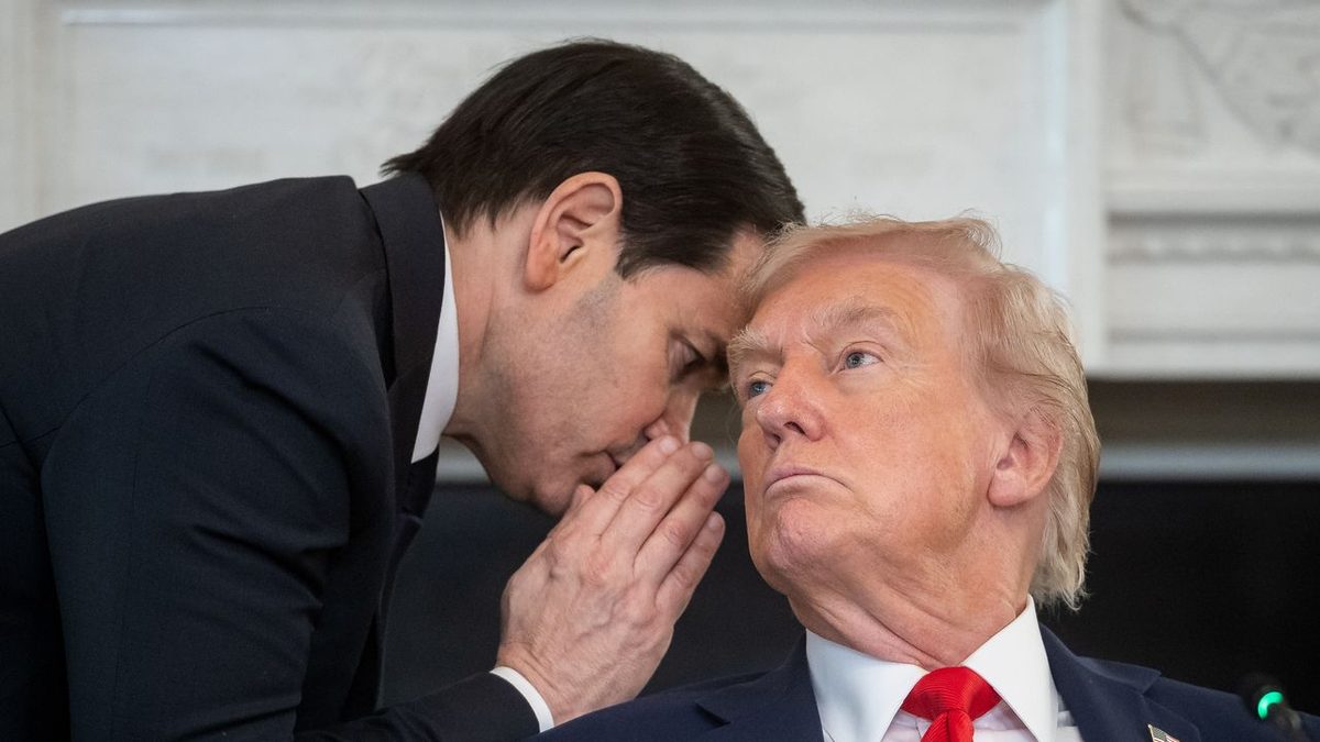 La storia di Autistici/Inventati, perché il collettivo digitale italiano ha chiuso e cosa c’entra Donald Trump